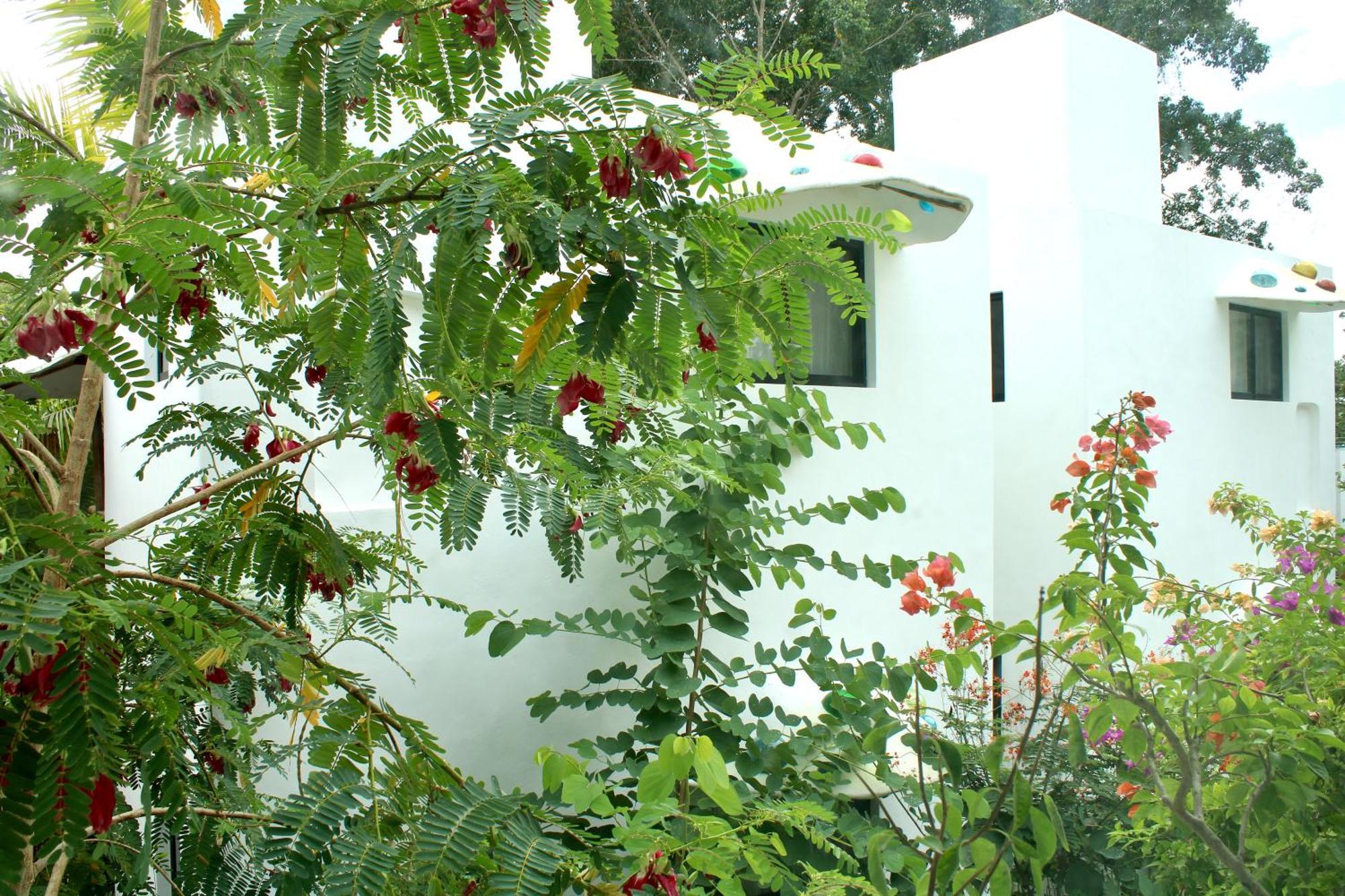 Maison Bacalar Esterno foto